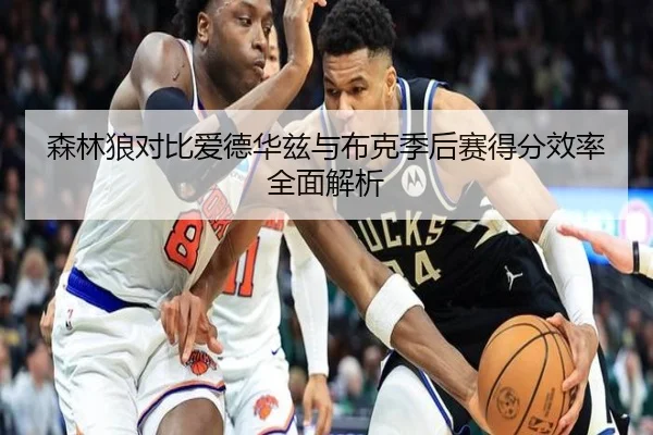 森林狼对比爱德华兹与布克季后赛得分效率全面解析